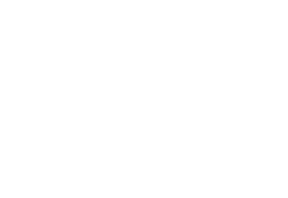 color line hvit